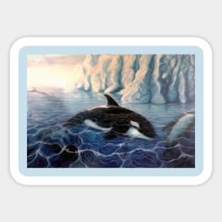 Orcas (Killer Whales) Art Design Sticker